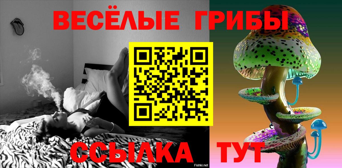 Галлюциногенные грибы ЛСД  Галлюциногенные грибы Psilocybe  Вход с VPN  Верхняя Пышма 