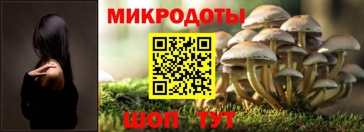 Галлюциногенные грибы Magic Shrooms Верхняя Пышма